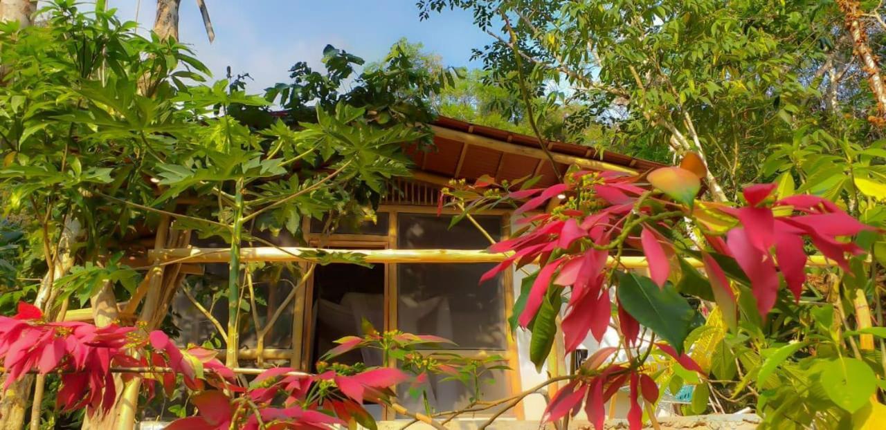 Minca Glamping Villa Ngoại thất bức ảnh